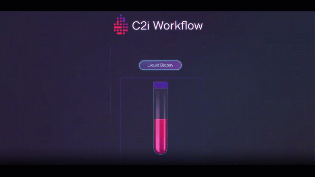 C2i Workflow