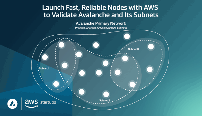 Launch fast, reliable nodes with AWS to validate Avalanche and its subnets